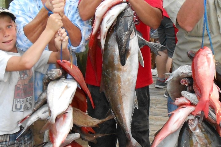 a person holding a fish