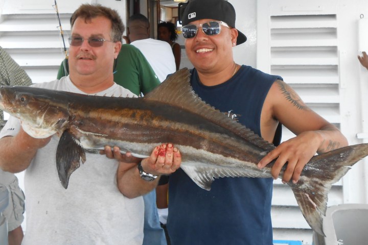 a person holding a fish